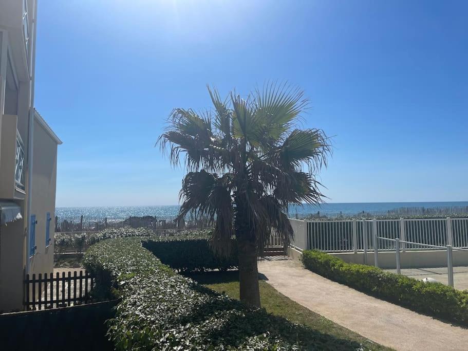 Appart Frontignan Sur La Plage, Piscine, Wifi, Tv, Netflix Экстерьер фото